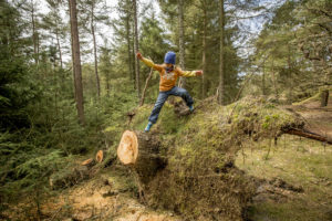 18954258770_45d1817baa_k