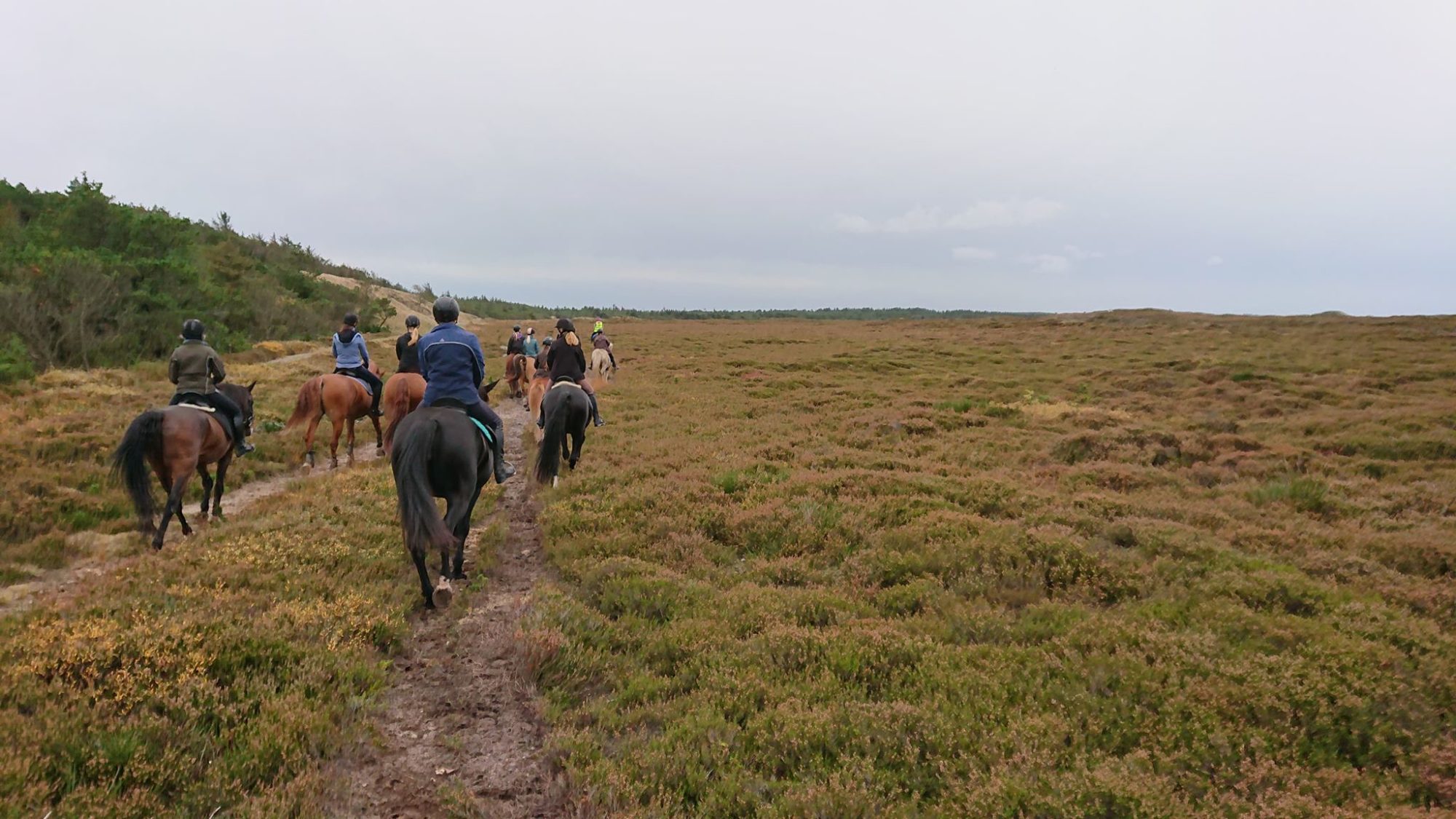 72787909_2438502473087649_1342495275083628544_n