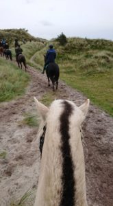 72891055_501130704062952_8660538137744769024_n