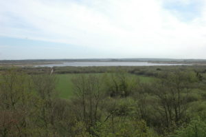 Filsø april 2011 110