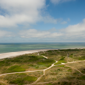 csm_Blaavandshuk_458x458_4232dc6416