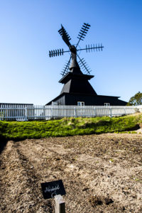 Nymindegab Museum (13)